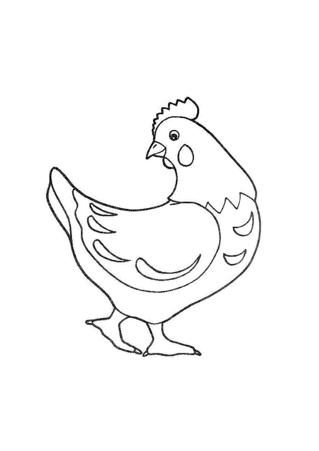 Раскраска Курка