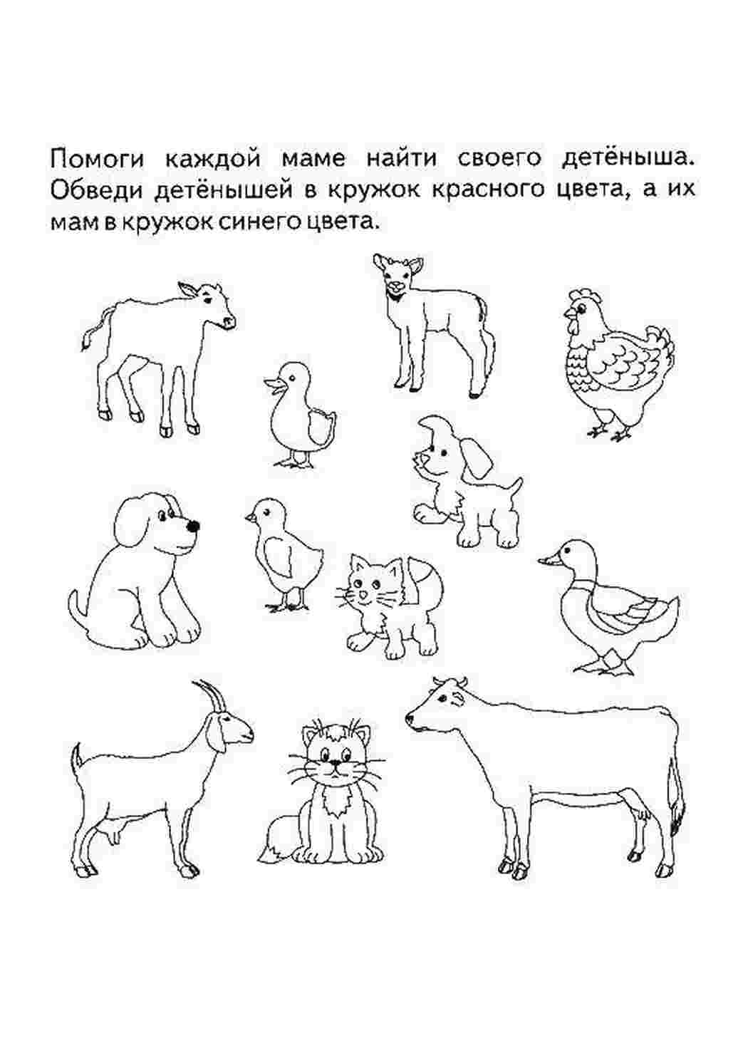 Раскраска Допоможіть кожній мамі знайти свого дитинча