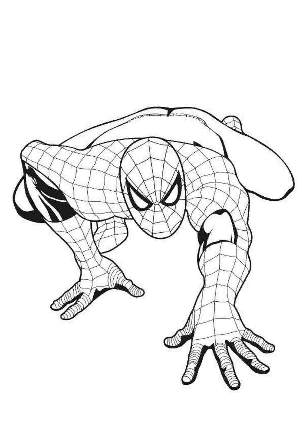 Раскраска Стеживий Спідермен