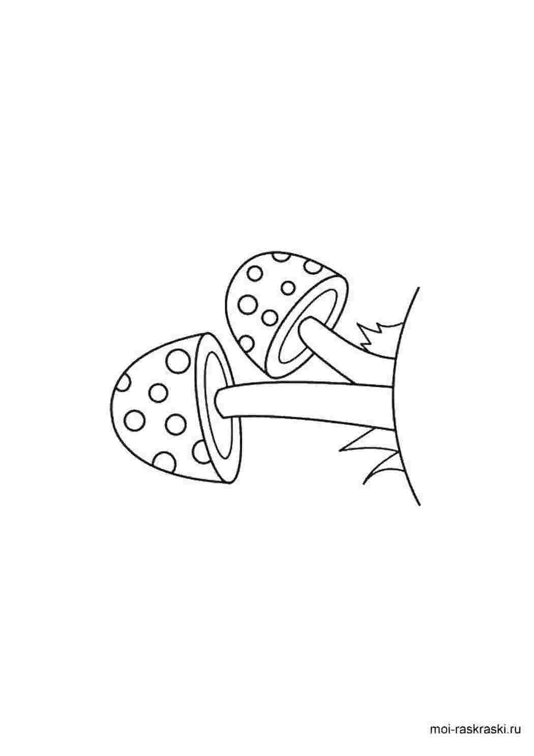Раскраска Гриби