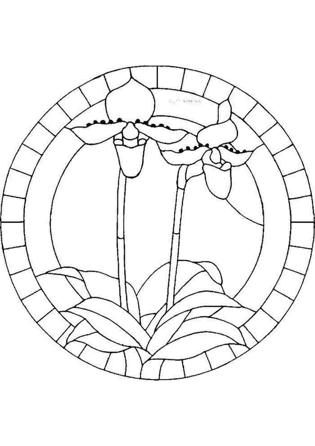 Раскраска Ірис