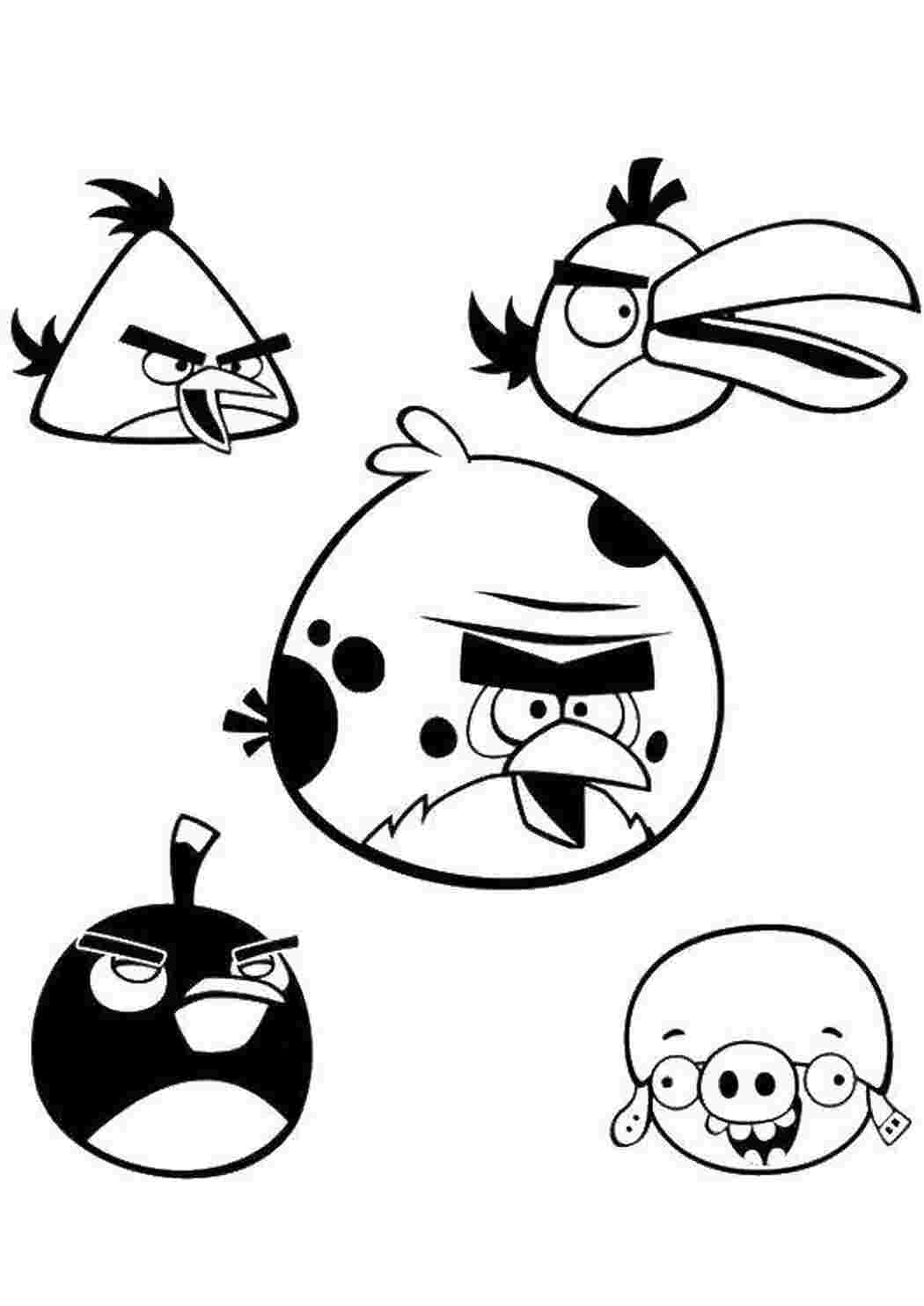 Раскраска Пташки з Angry Birds