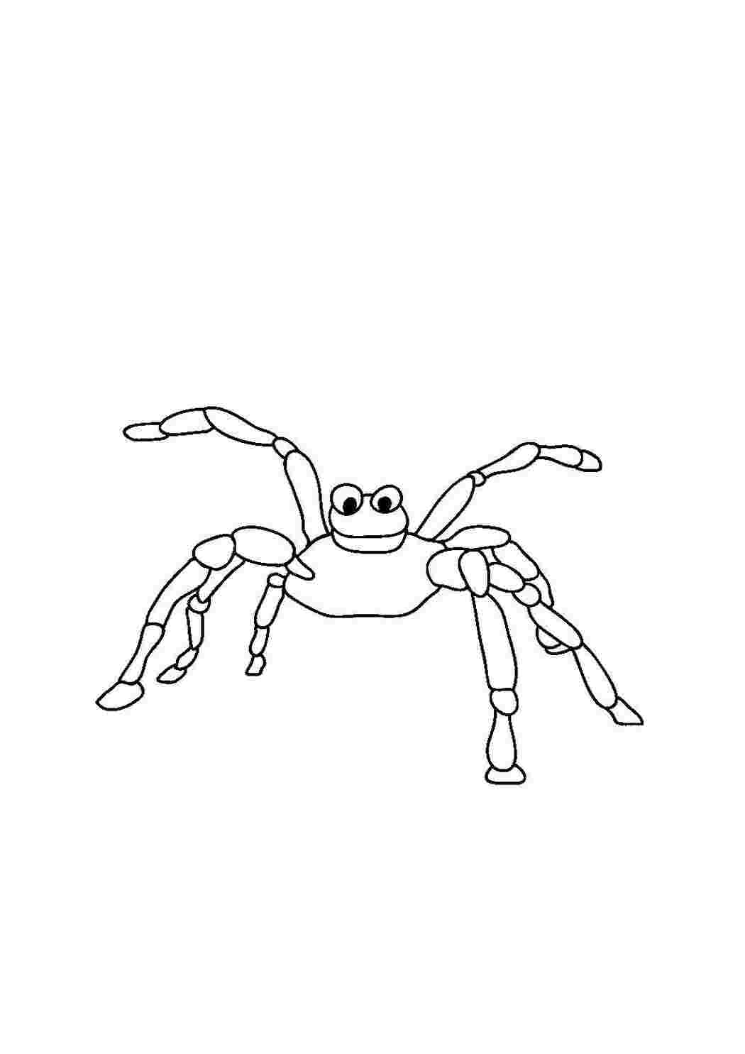 Раскраска Павук