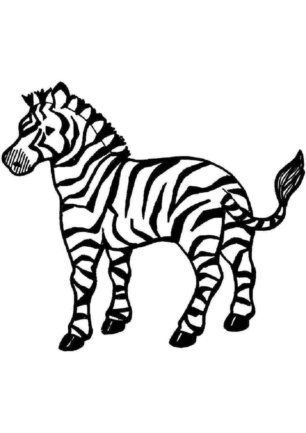 Раскраска Полосатик