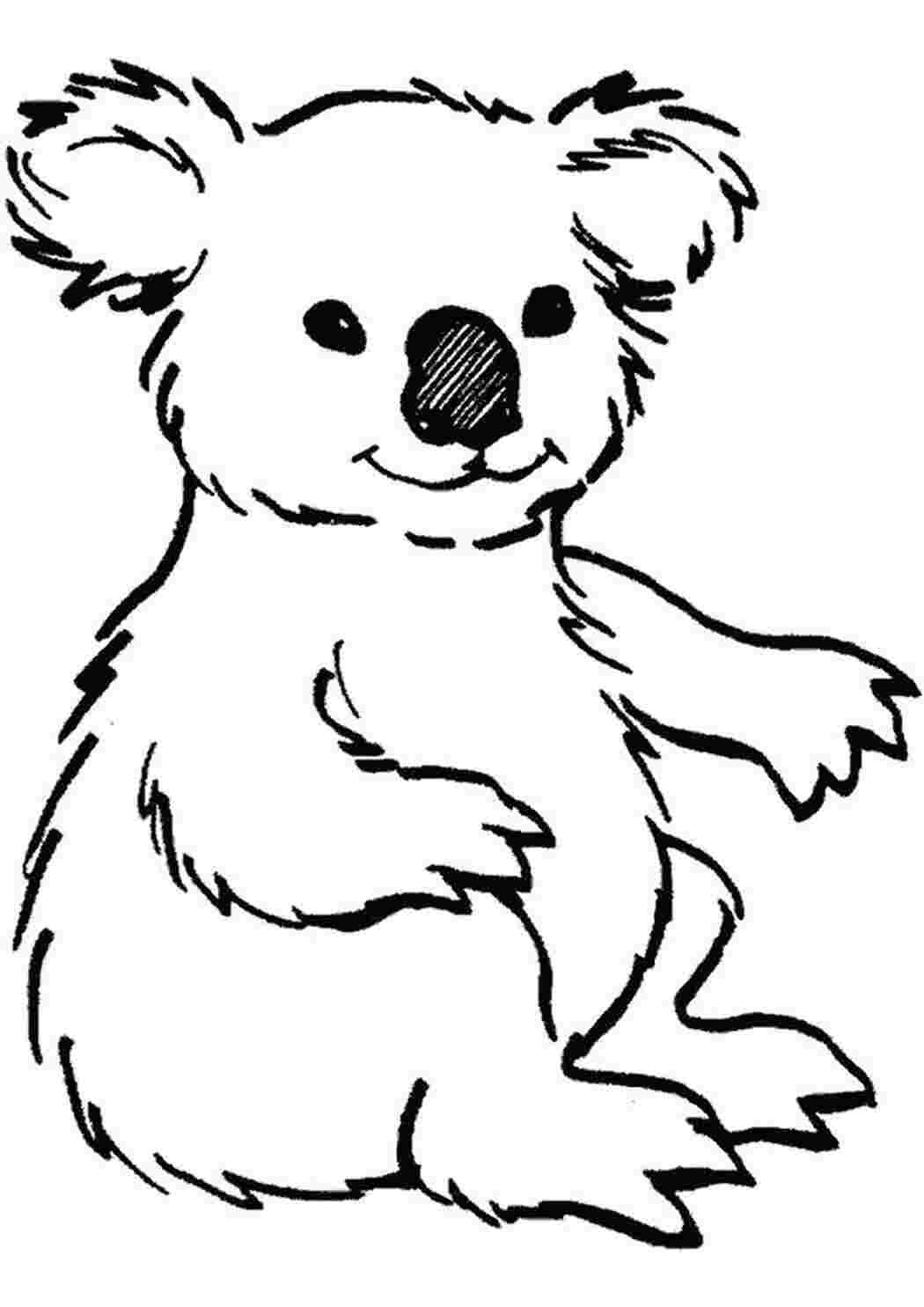 Раскраска Мишко Коала