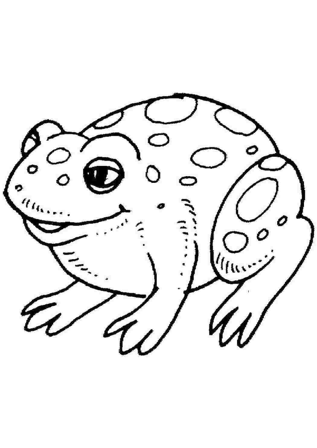 Раскраска Хитрий жабеня