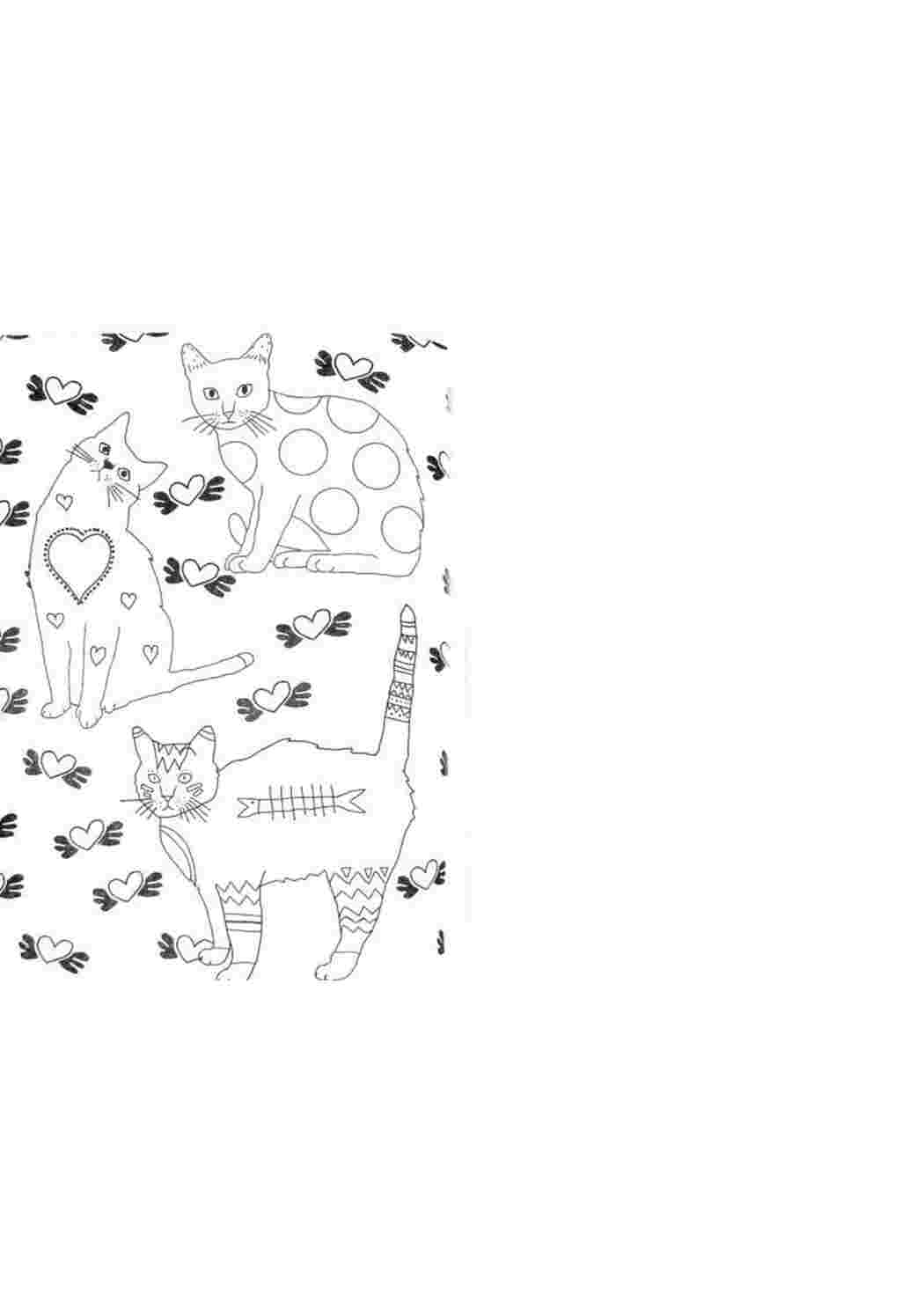 Раскраска Коти