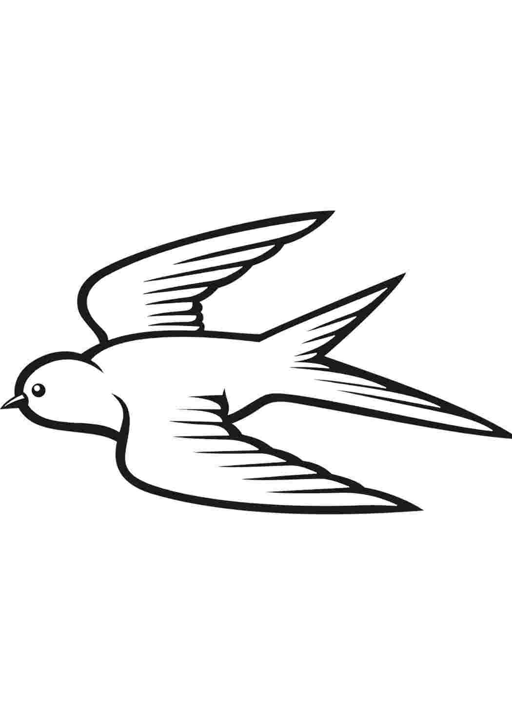 Раскраска Гарні розмальовки Розфарбування ластівки