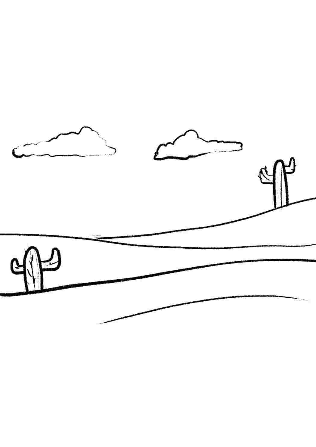 Раскраска Гарні розмальовки кактуси та пустеля