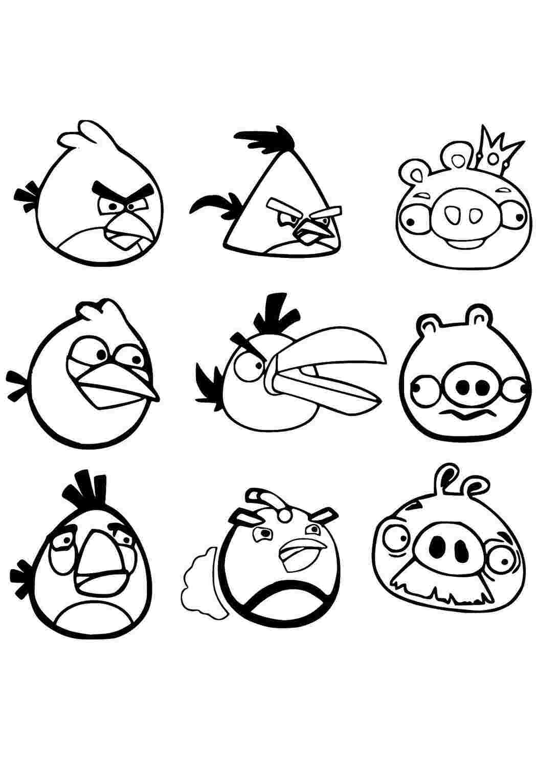 Раскраска Птахи та свинки з Angry Birds