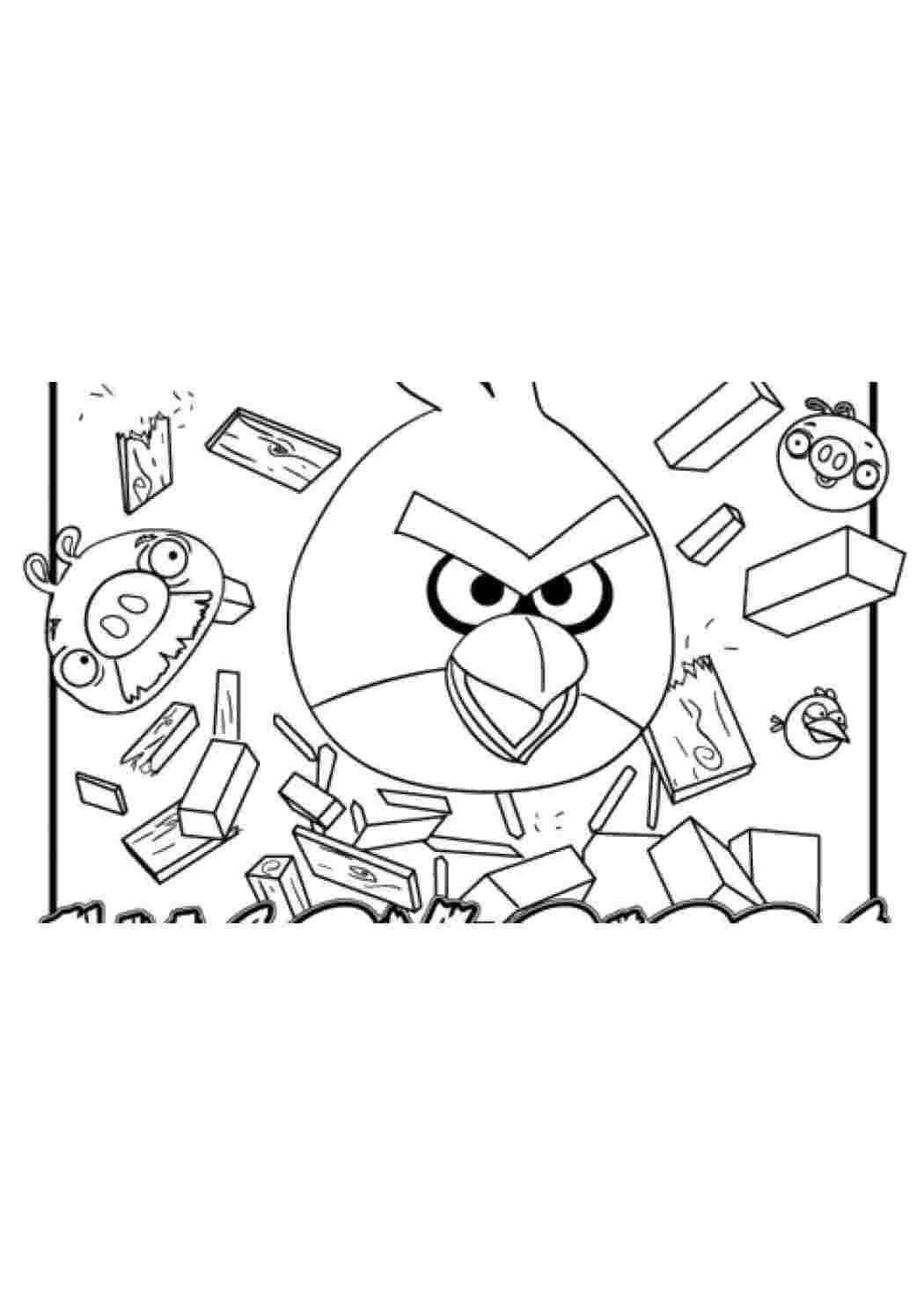 Раскраска Пташка з Angry Birds