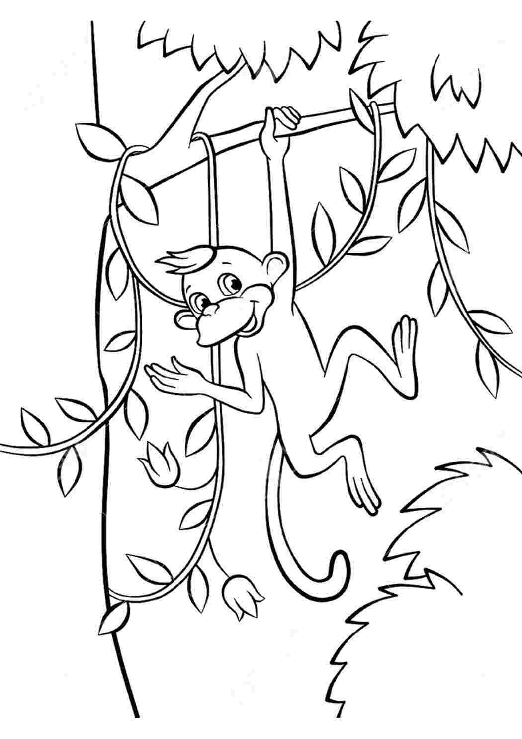 Раскраска Мавпи це тварини які їдять банани та лазають по деревах