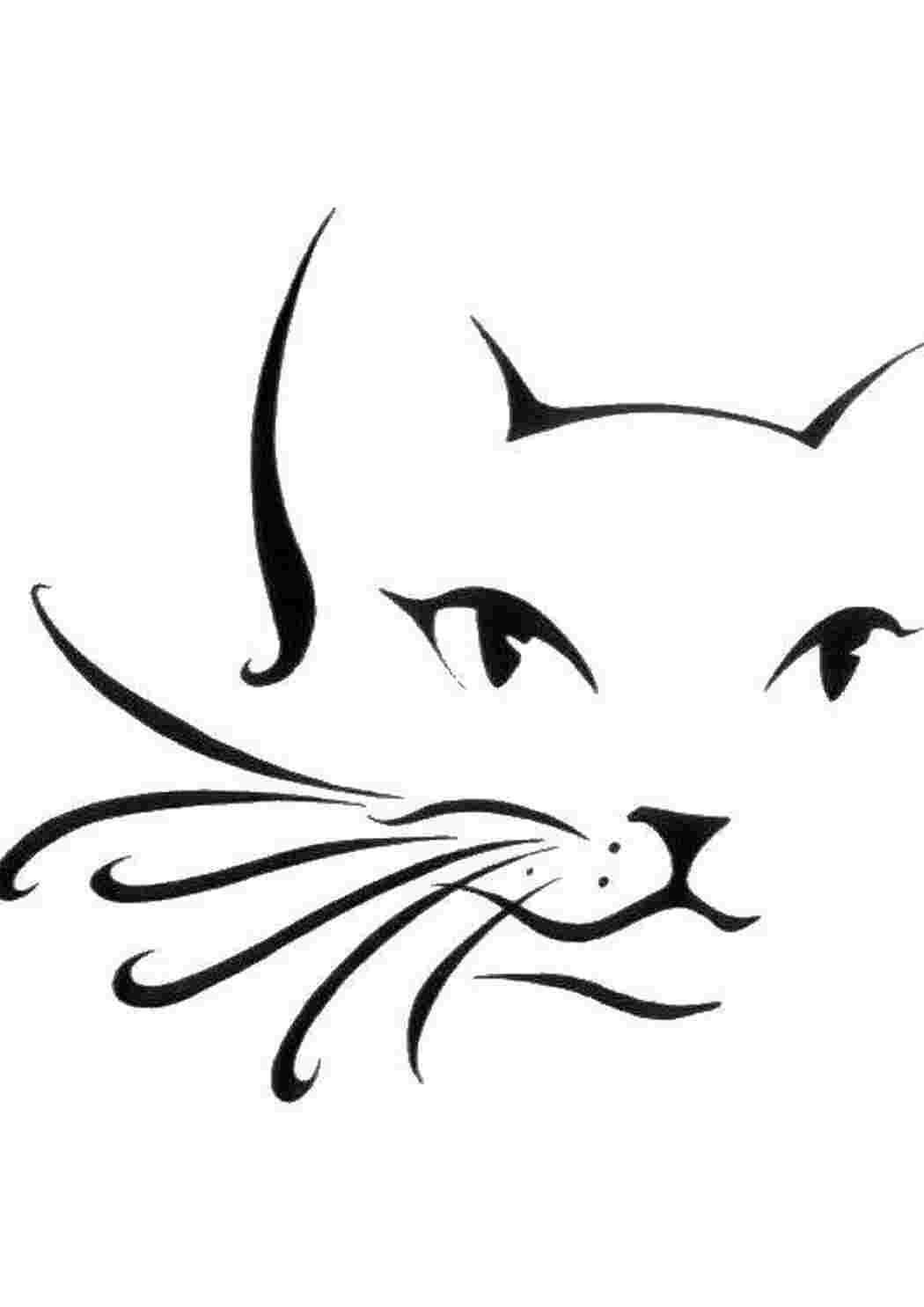 Раскраска Контур кота