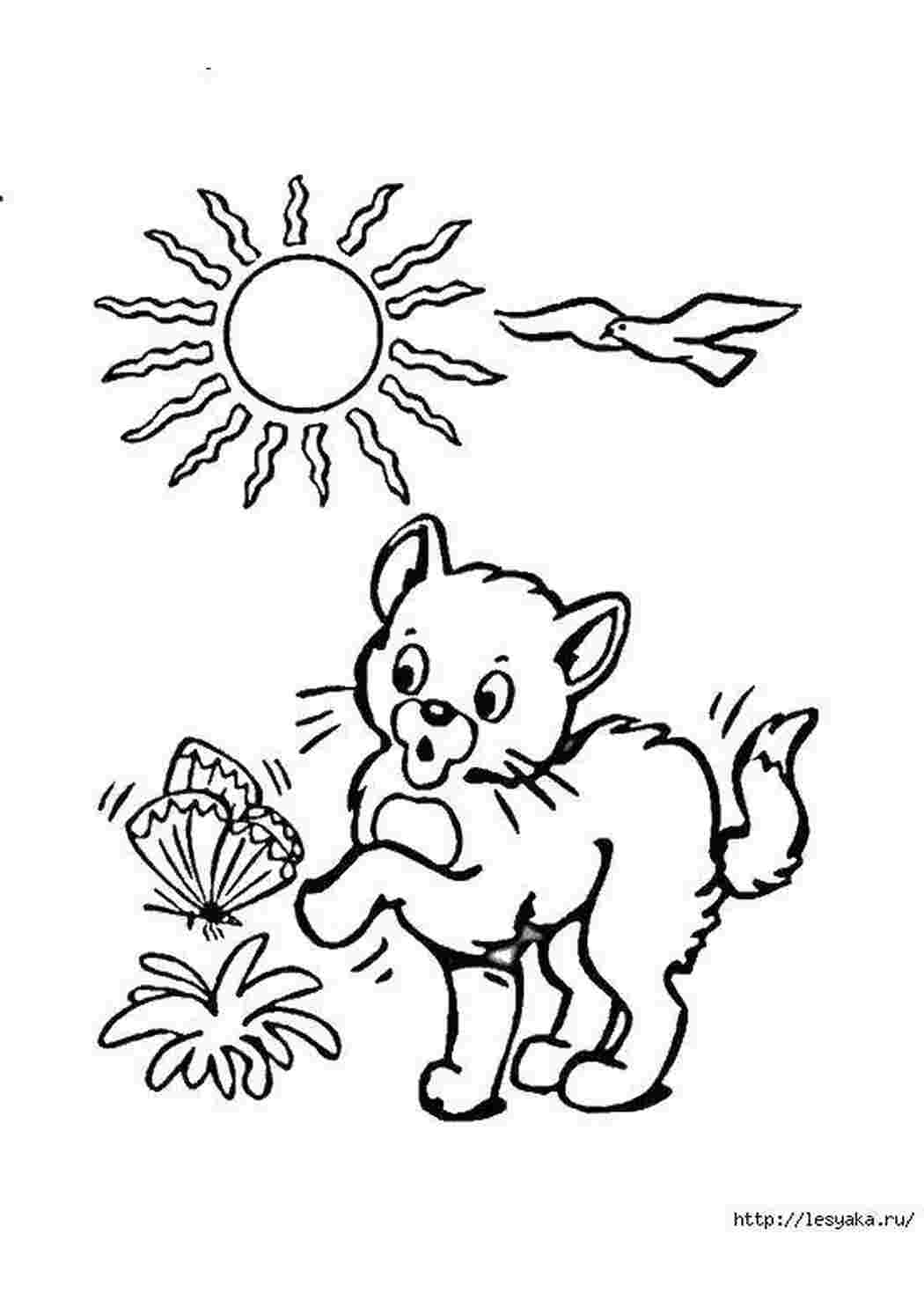 Раскраска Кошеня і метелик