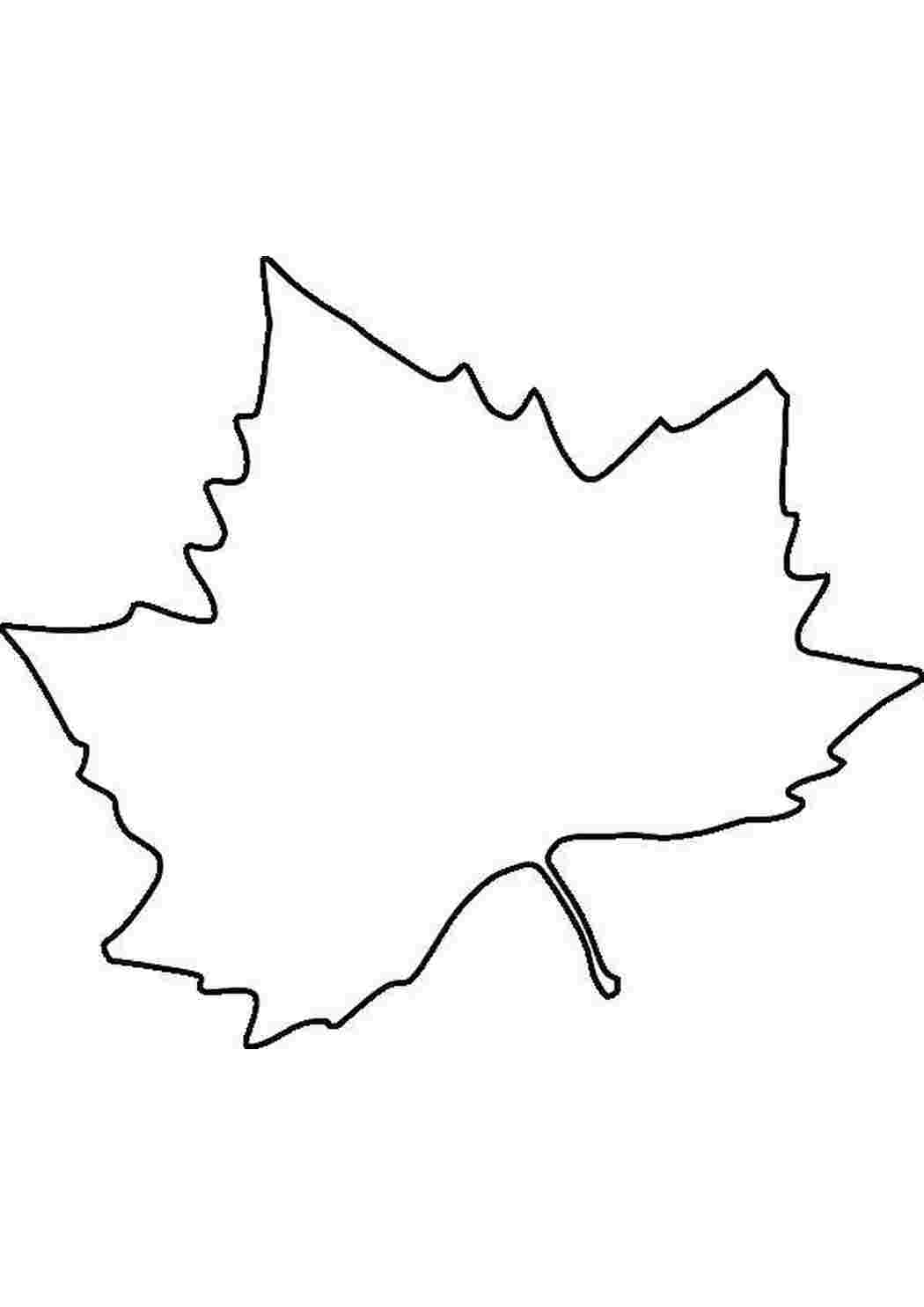 Раскраска Листок