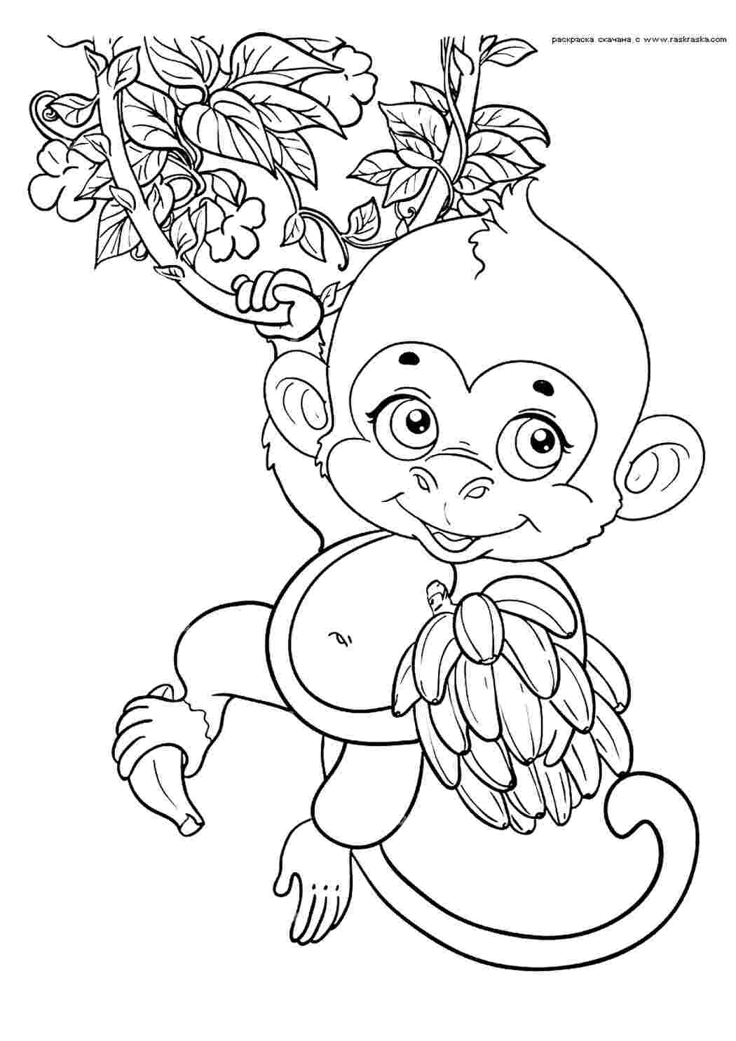 Раскраска Мавпи це тварини які їдять банани та лазять по деревах