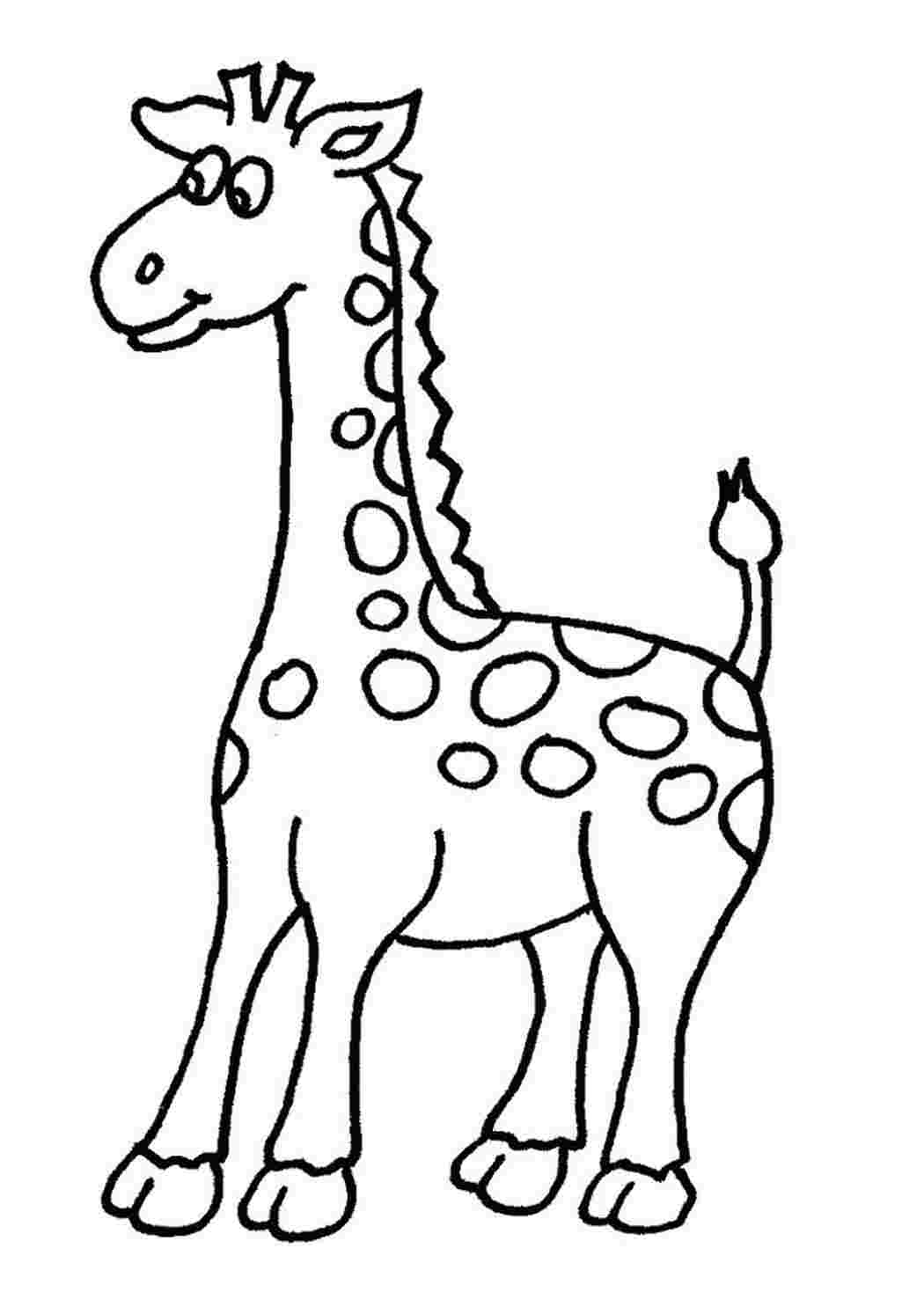 Раскраска Тварини Африки Жирафа