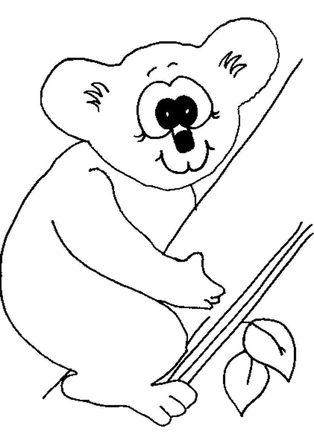 Раскраска розмальовки для дітей тварини Австралія коала