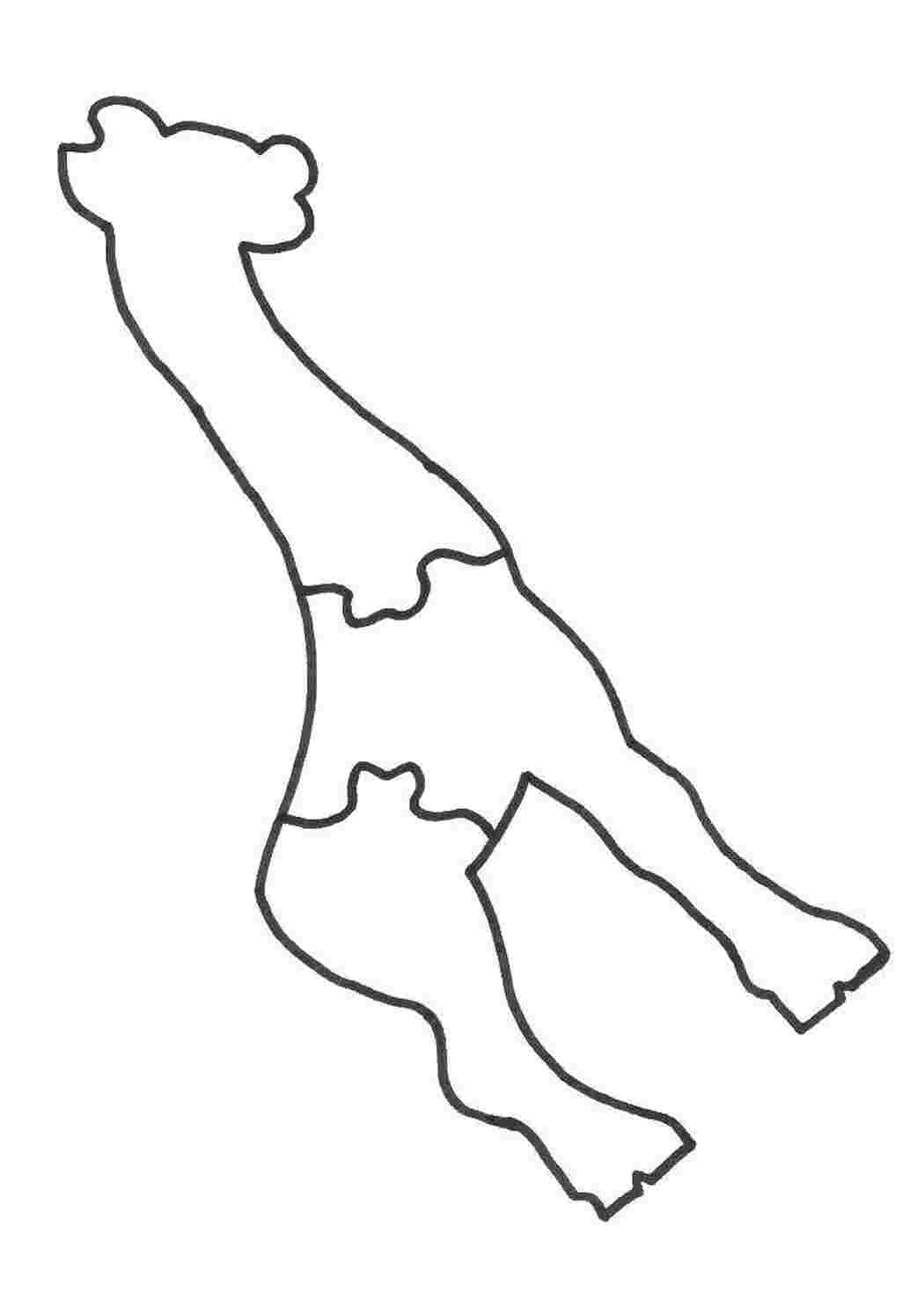 Раскраска Жирафа
