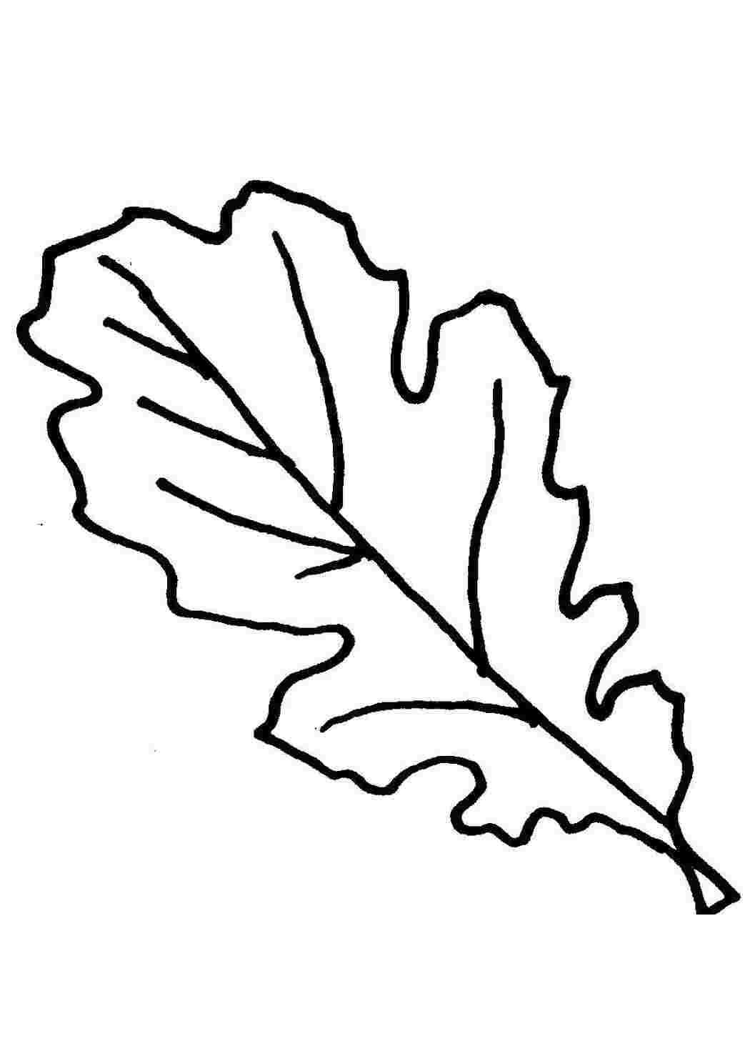 Раскраска Лист