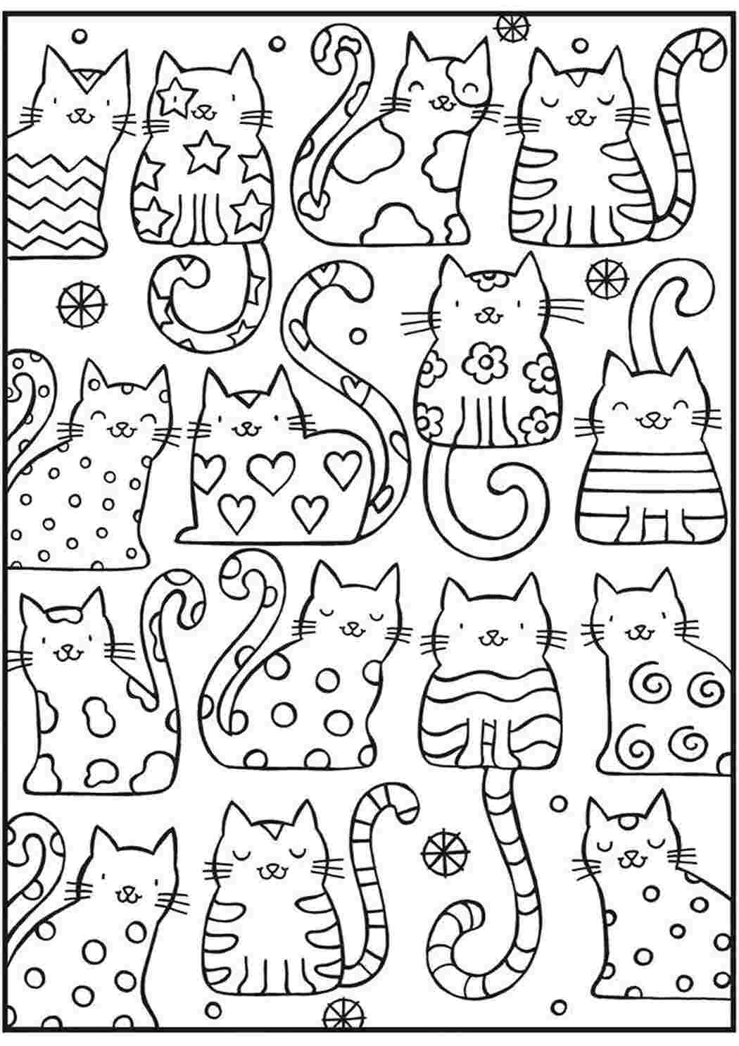 Раскраска Коти