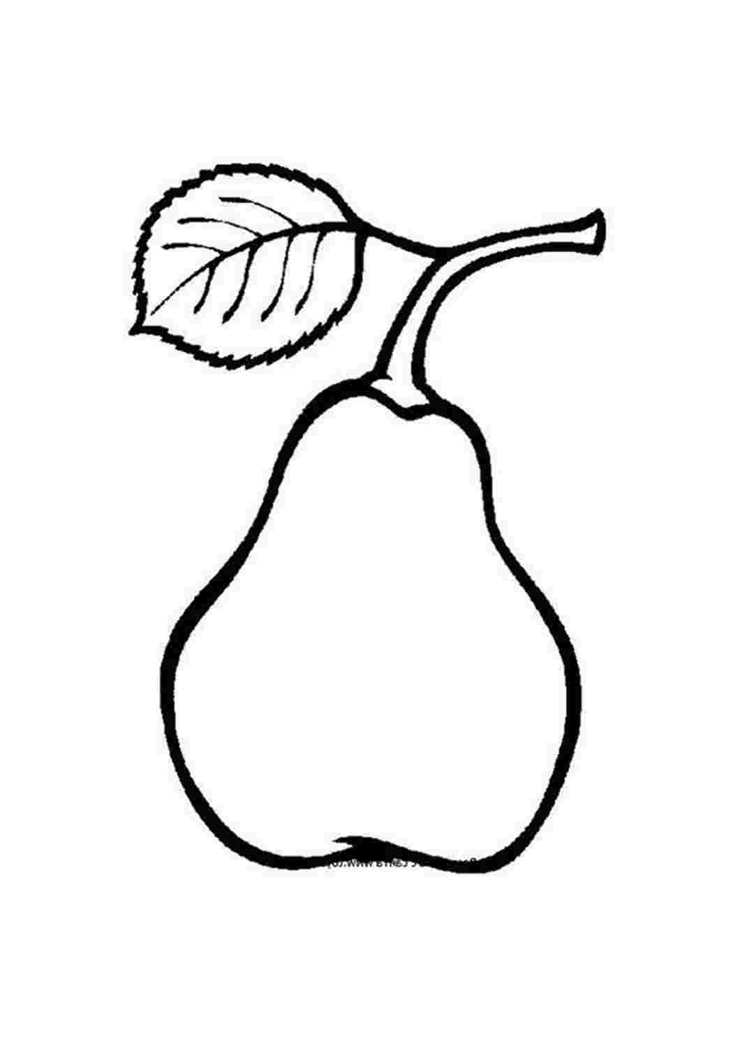 Раскраска Груша