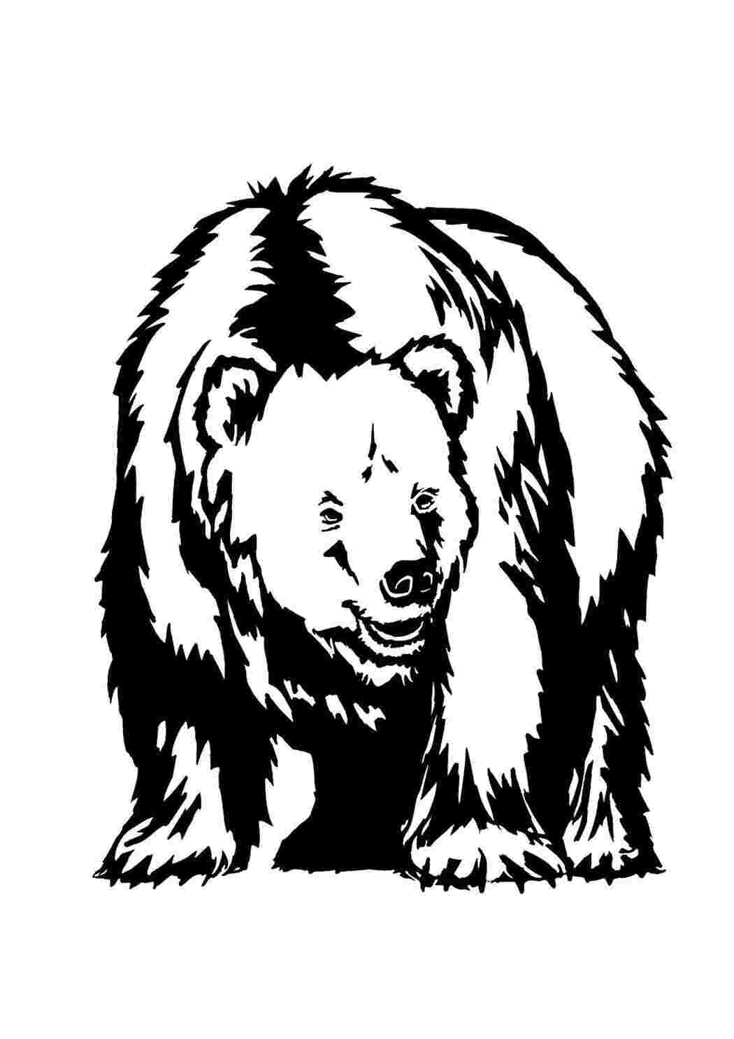 Раскраска Ведмідь