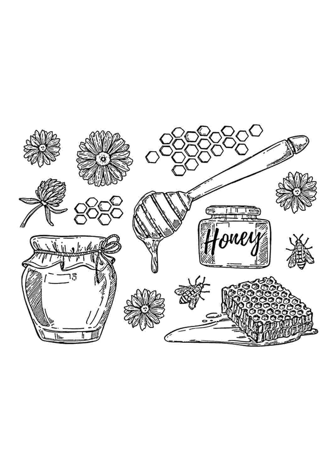 Раскраска Гарні розмальовки Мед стільники та квіти розмальовка