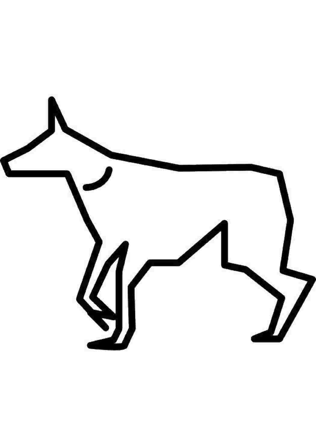 Раскраска Собака