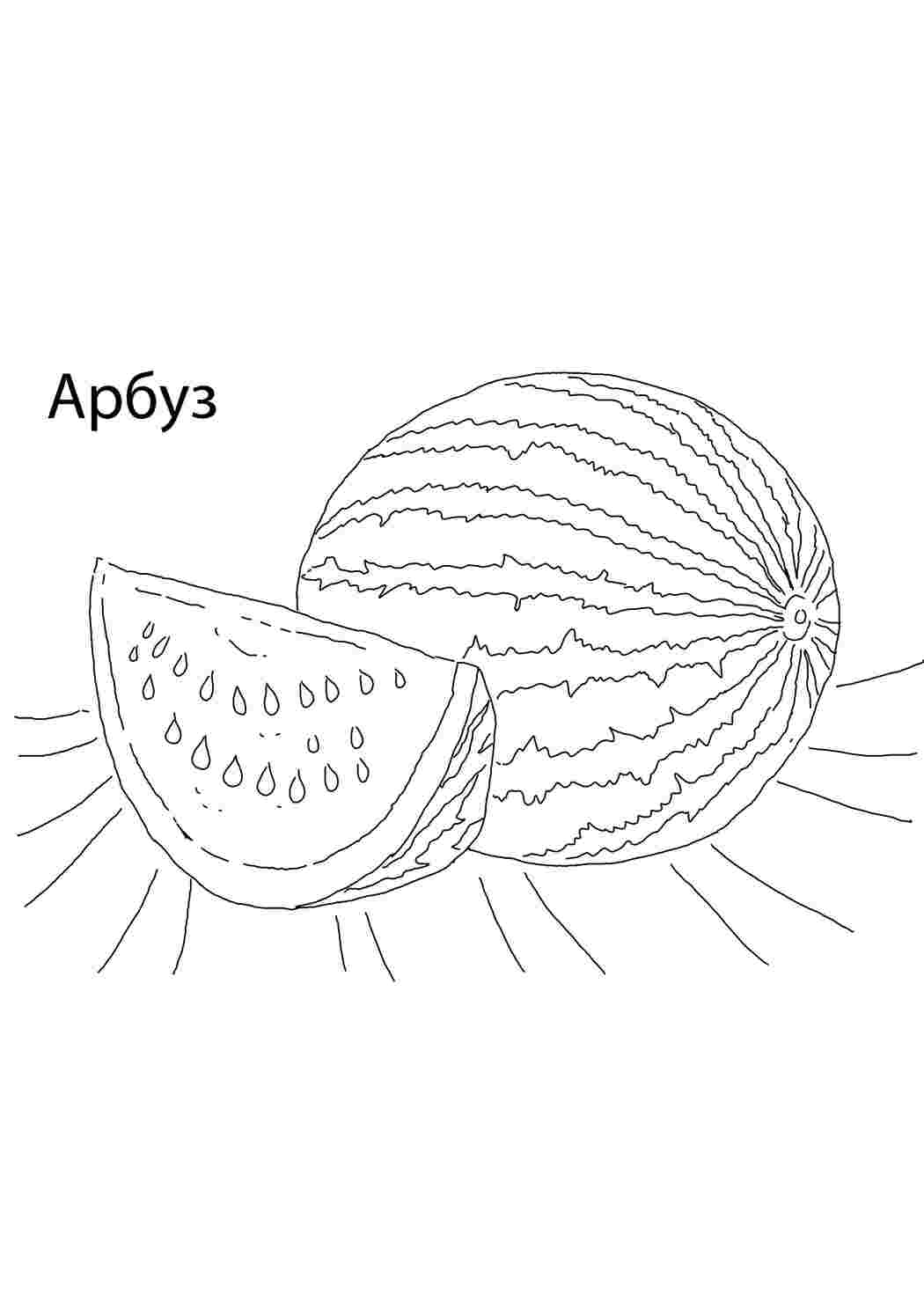 Раскраска кавун