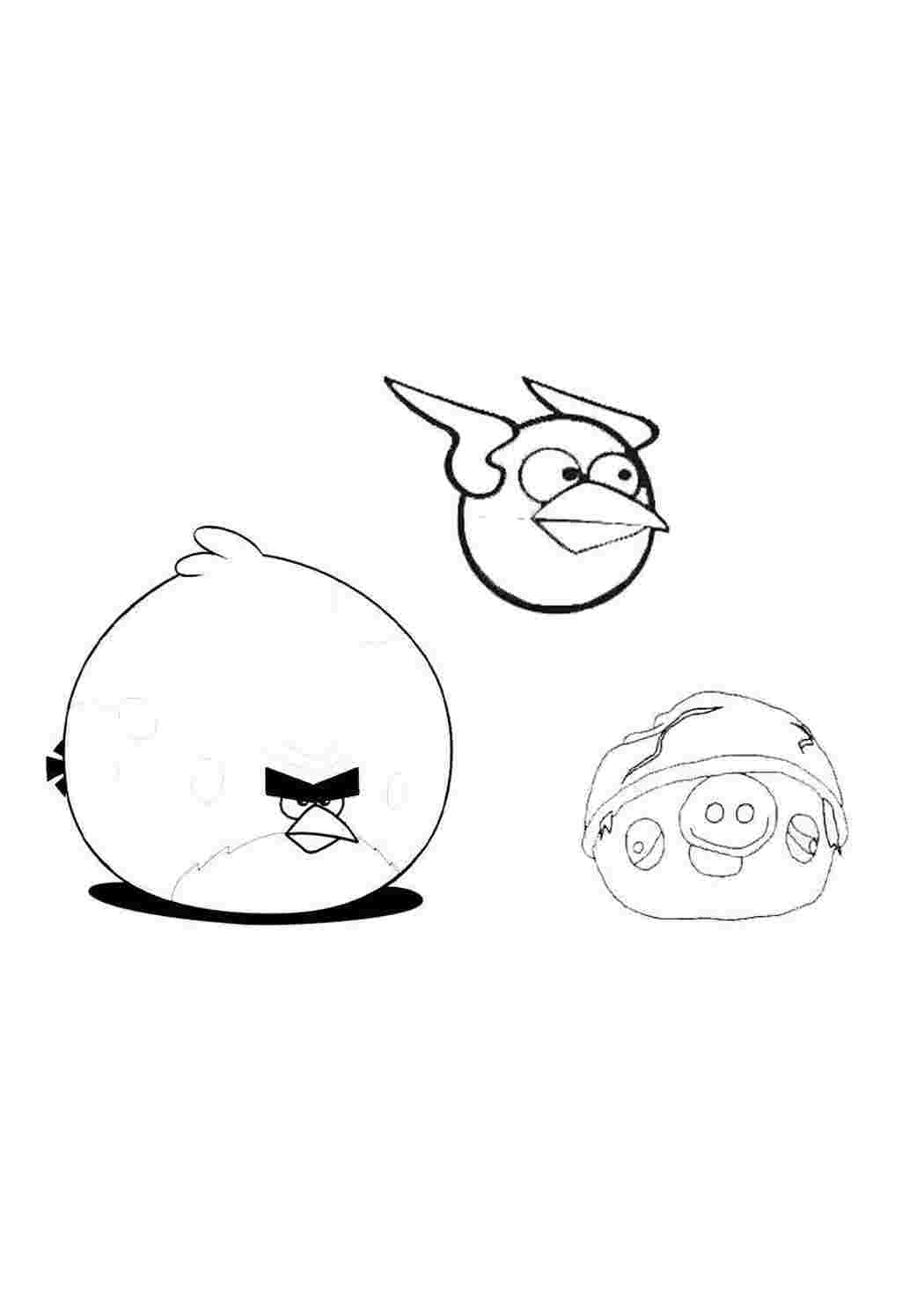 Раскраска Пташка збила свиню з Angry Birds