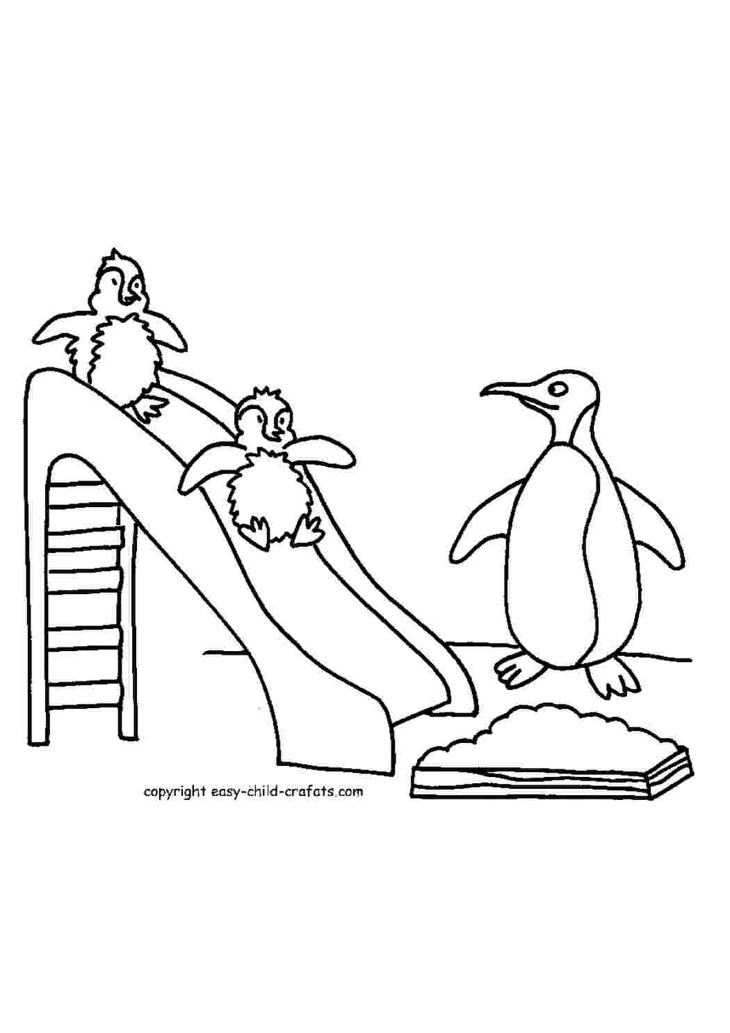 Раскраска розмальовки для дітей тварини Антарктида пінгвін
