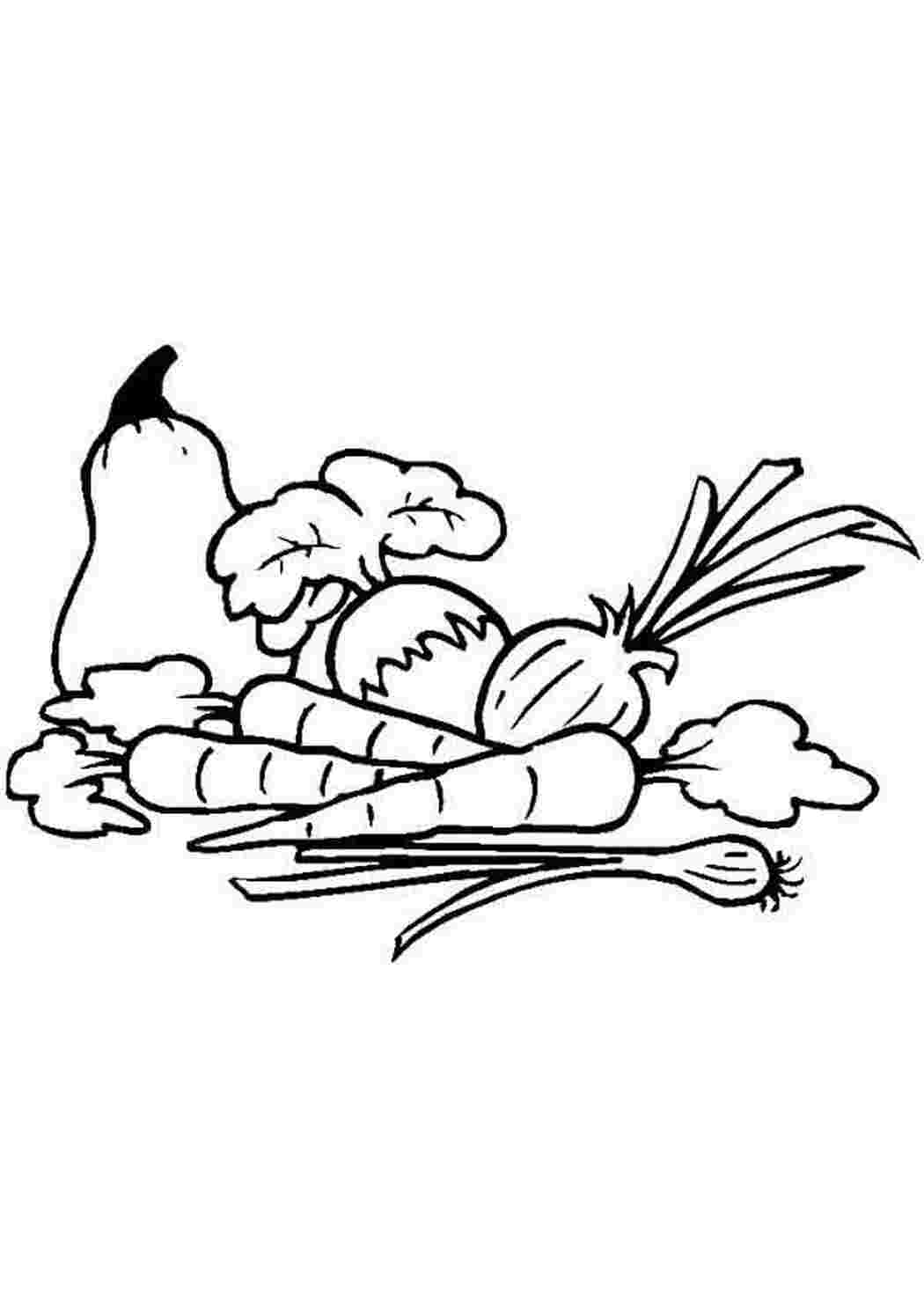 Раскраска Розфарбунки з овочами для дітей завантажити безкоштовно