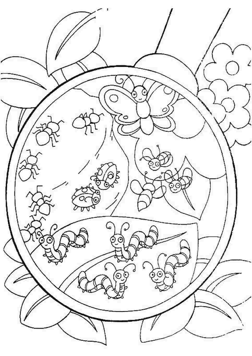 Раскраска Гусениці жуки
