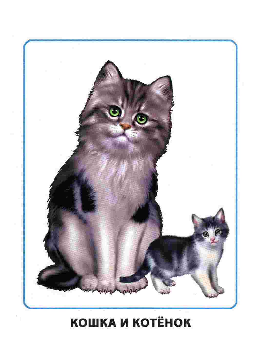 Раскраска Картки з навколишнього світу Мами та діти Ранній розвиток дітей