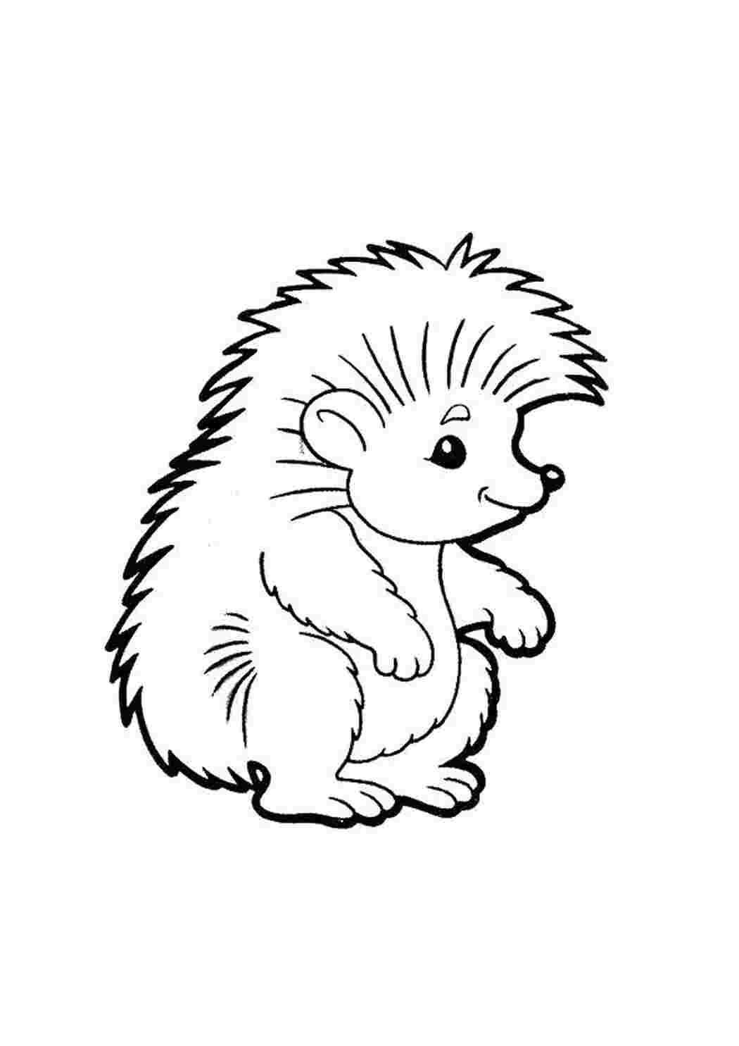 Раскраска милий їжик