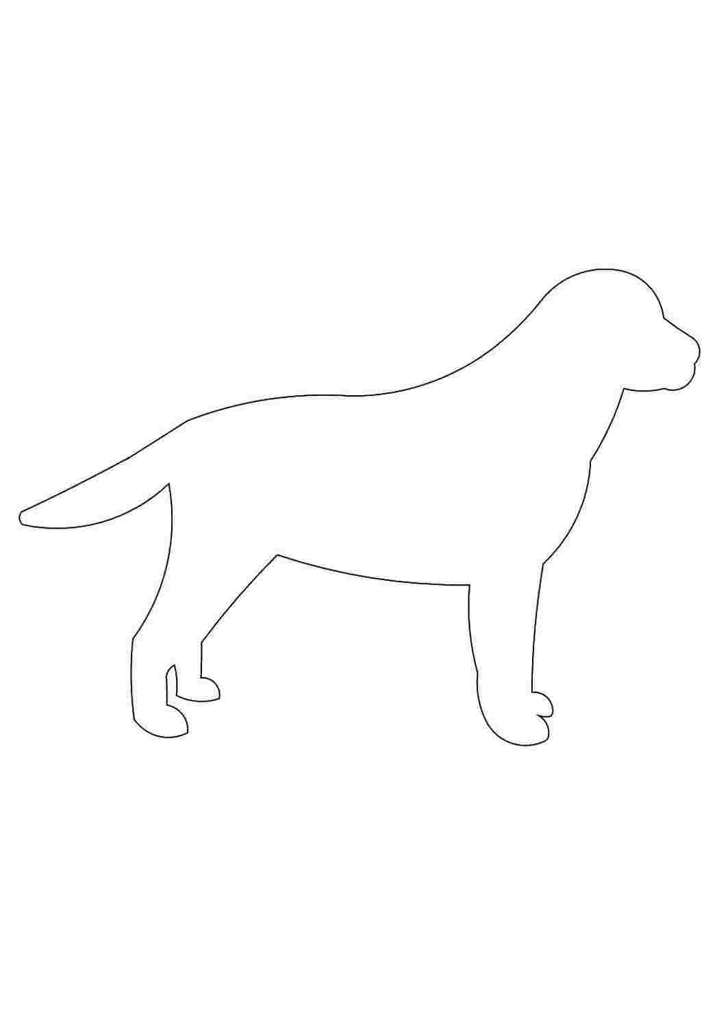 Раскраска Контур собаки