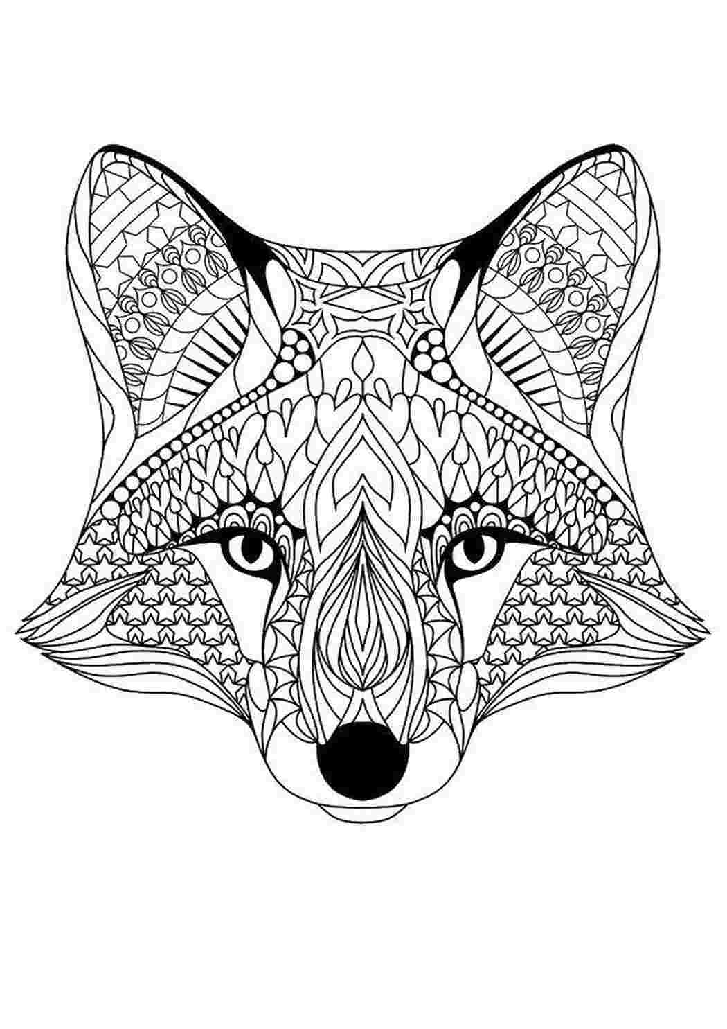 Раскраска Мордочка лисиці