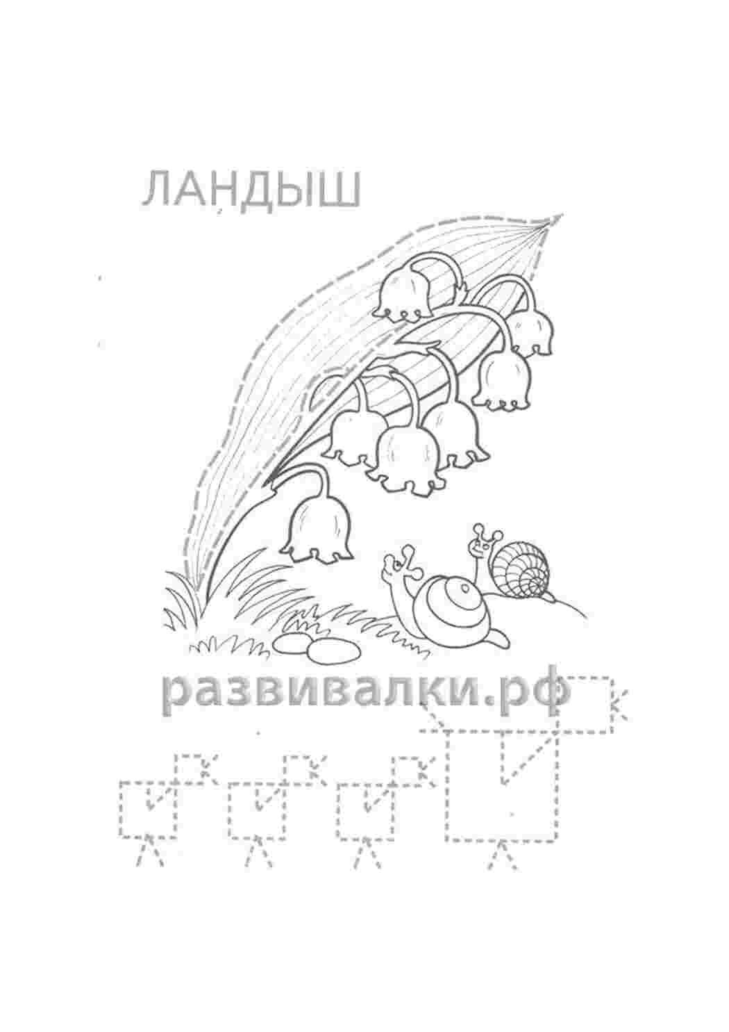 Раскраска розвиваючий квітка конвалія малюємо по лініях обведи по точкам не відриваючи руки