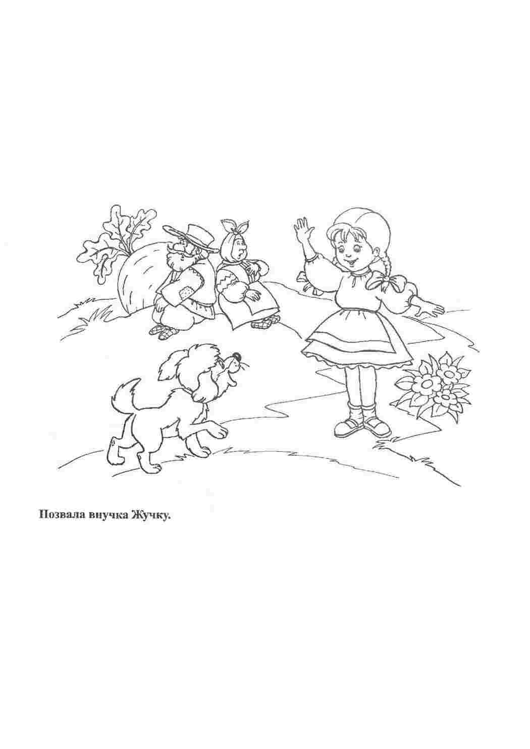 Раскраска Покликала онучка Жужа щоб допомогла витягти ріпку