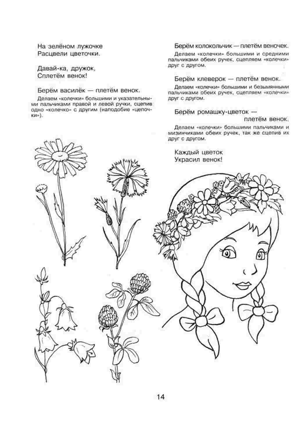 Раскраска вінок малюнків розфарбує