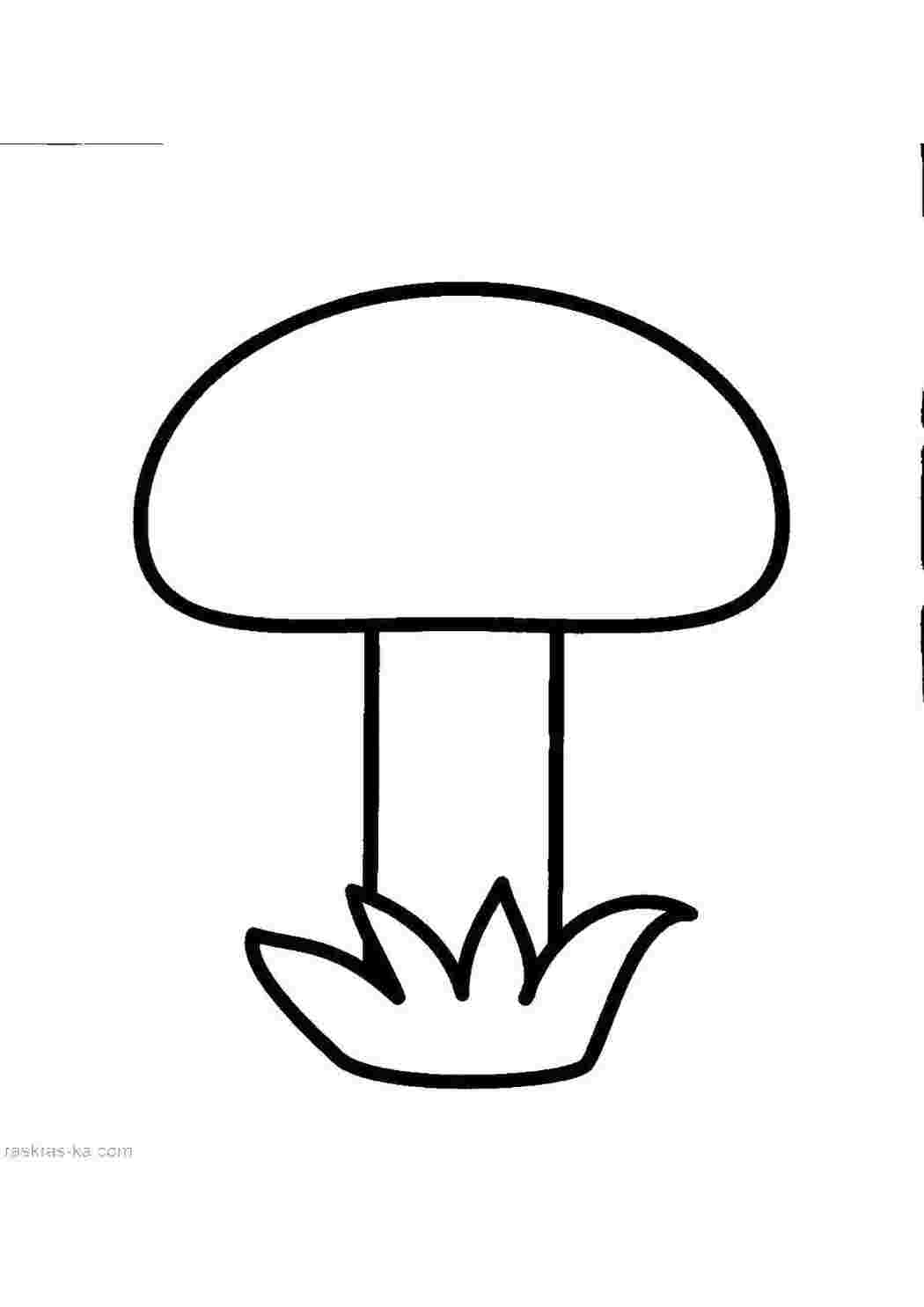 Раскраска Гриб