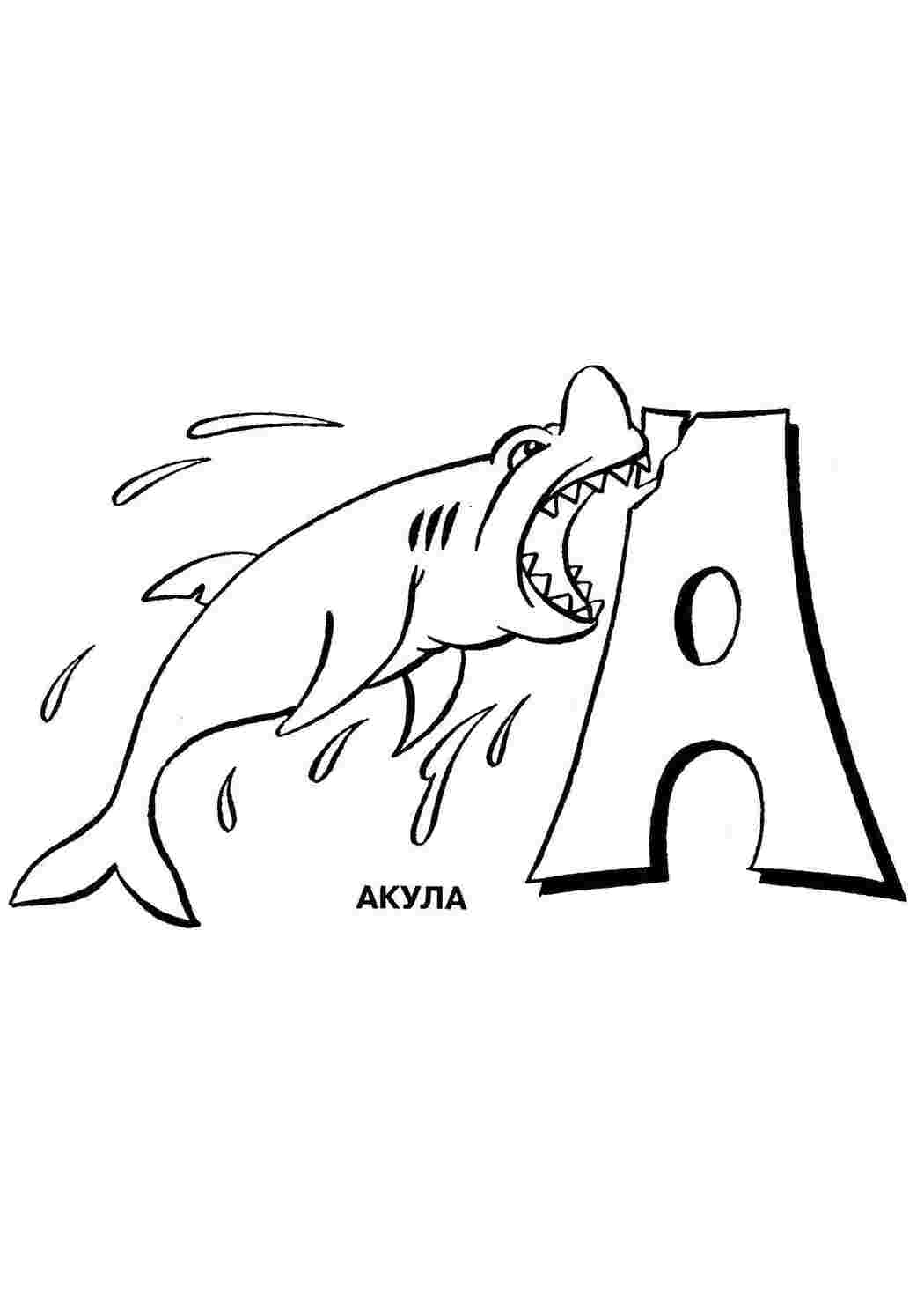 Раскраска Акула на а