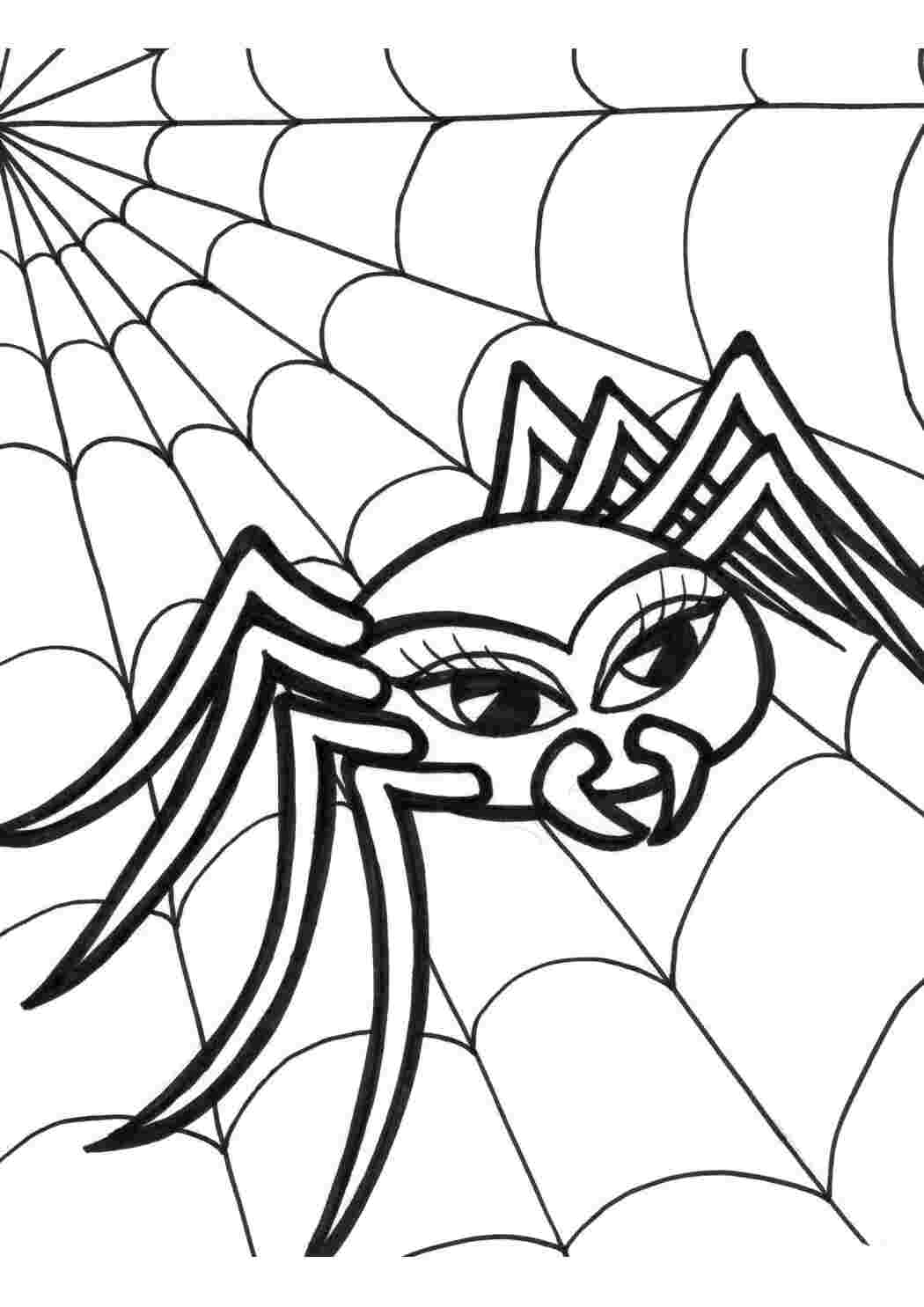 Раскраска Тато павук