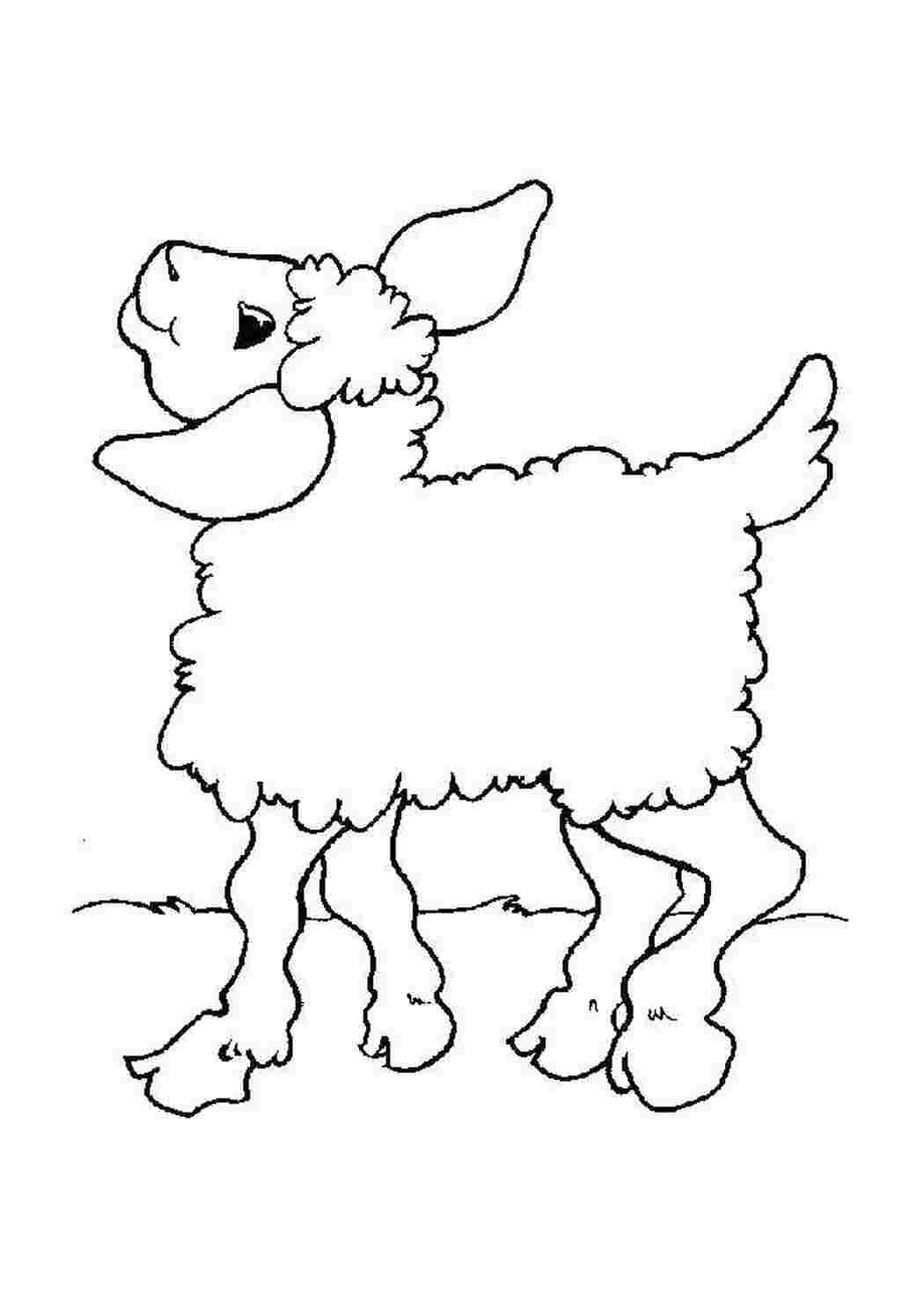 Раскраска Мила вівця