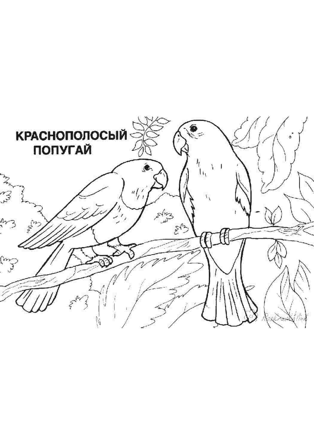 Раскраска зображення для робочого столу онлайн
