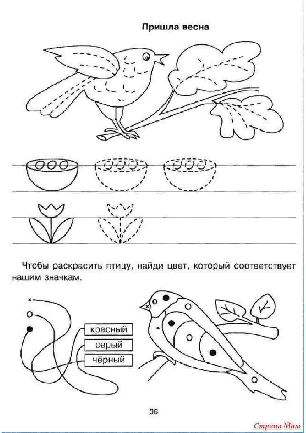 Раскраска Розфарбування на тему штрихування
