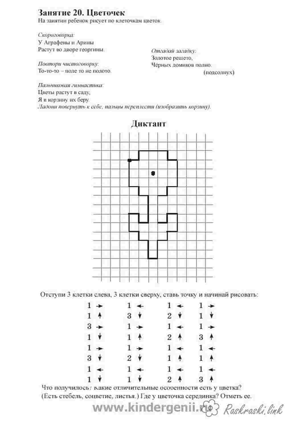 Раскраска Малюємо квітку по клітинках у графічному диктанті