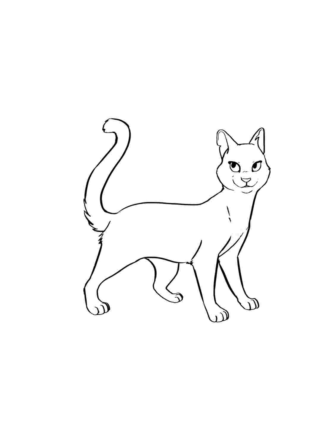 Раскраска Гарні розмальовки Гарна кошечка