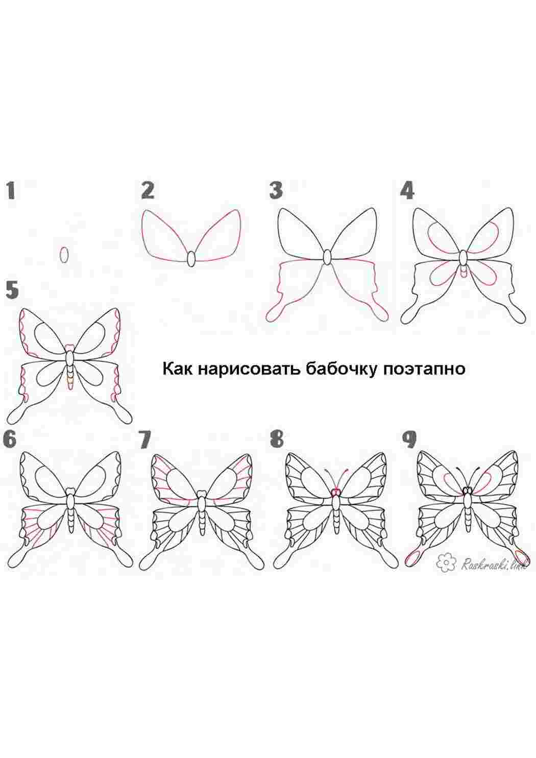 Раскраска як намалювати метелика покроково